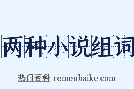 两种小说组词是什么意思的图片